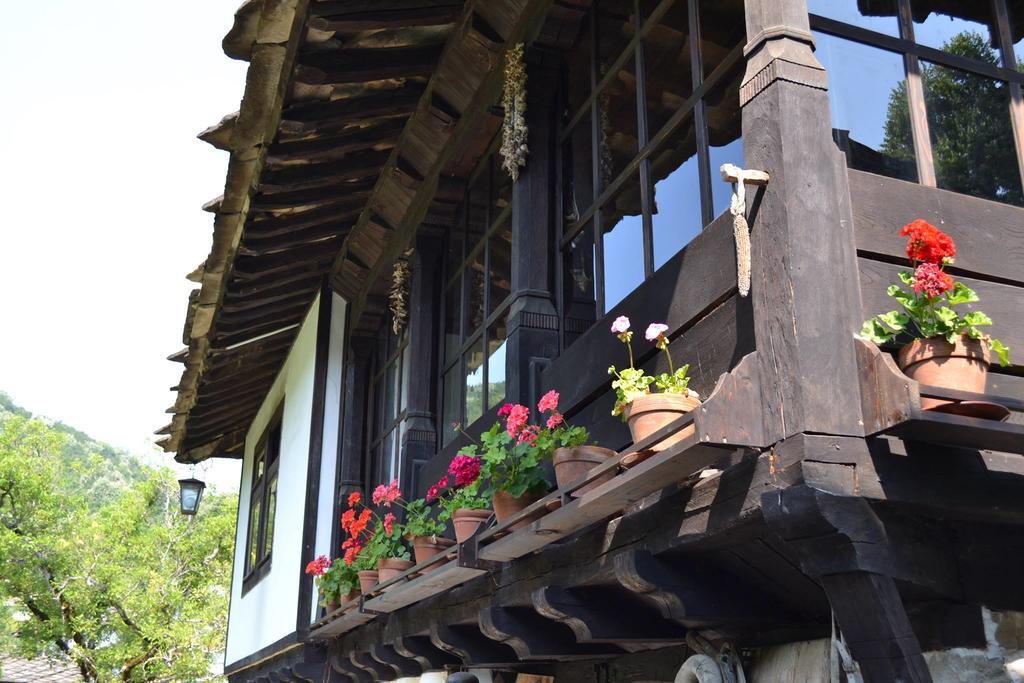 Strannopriemnitsa Guest House Boženci Exteriér fotografie