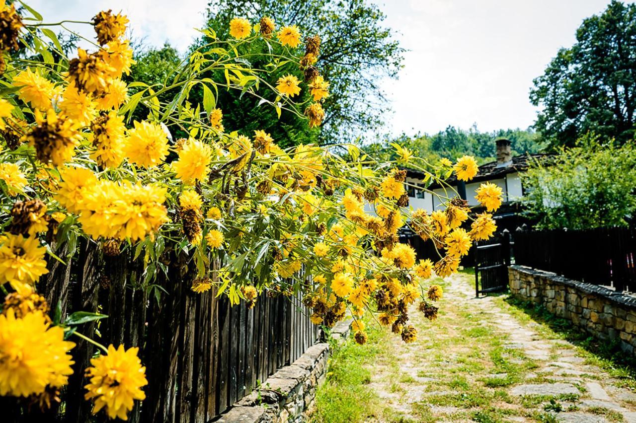 Strannopriemnitsa Guest House Boženci Exteriér fotografie
